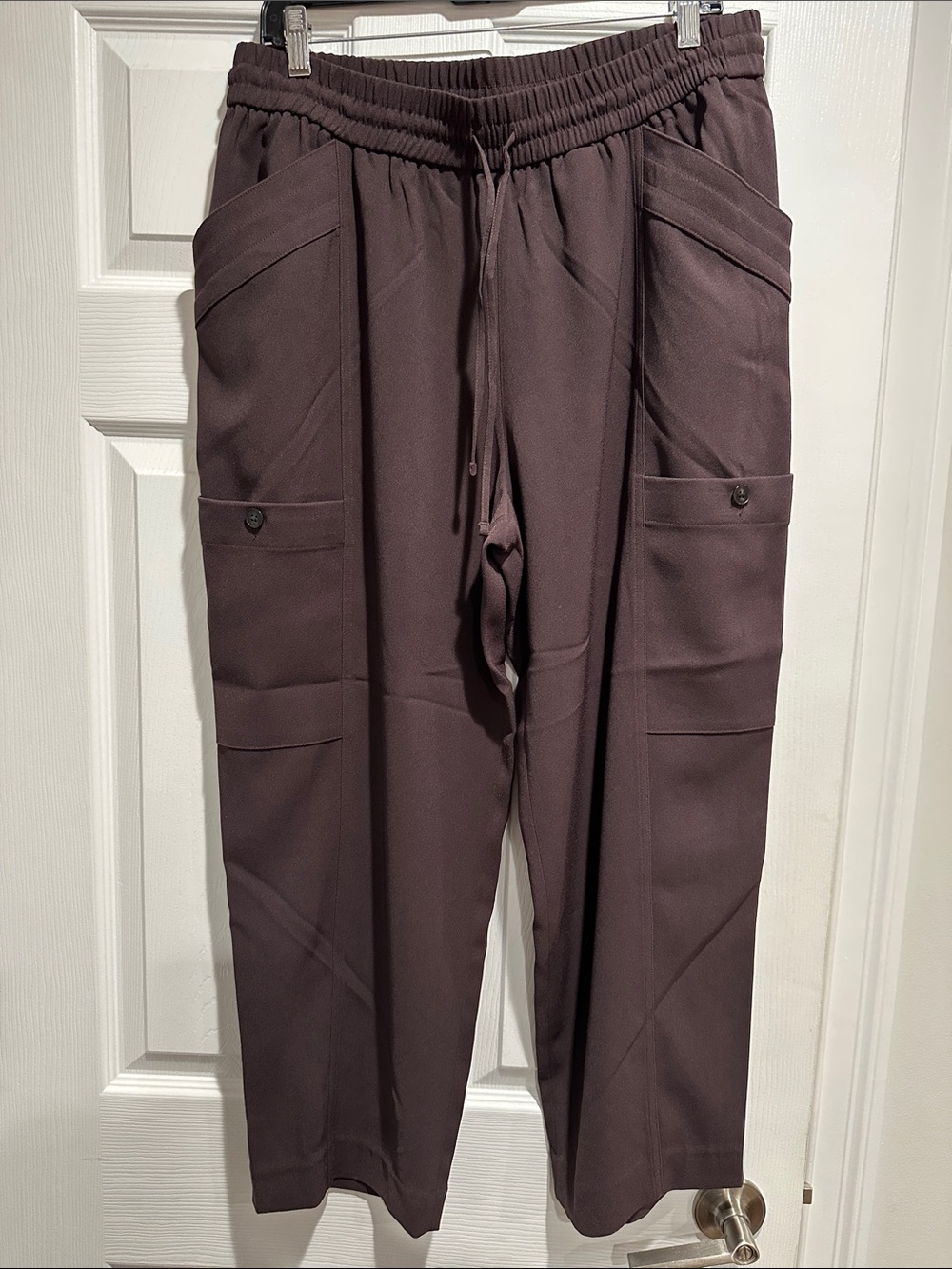 Express Men's Cargo Pants in Dark Plum